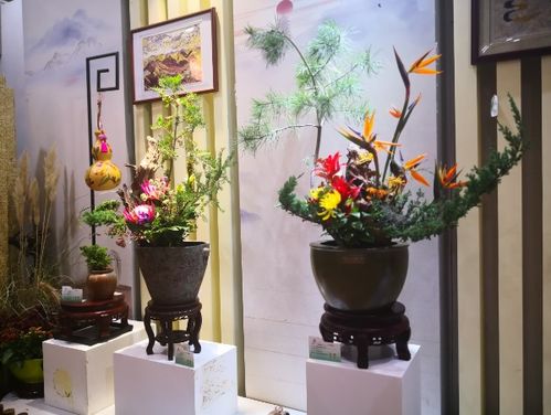 北京世園會(huì)省區(qū)市室內(nèi)展品競(jìng)賽第四次評(píng)審圓滿落幕，家居用品類別亮點(diǎn)紛呈