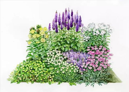 101張超高清精品手繪花境，驚艷你的家居視覺體驗(yàn)