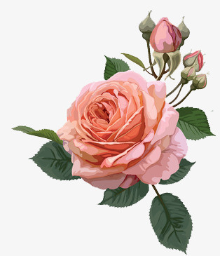 唯美手繪花卉與數(shù)碼產(chǎn)品的跨界詩(shī)意